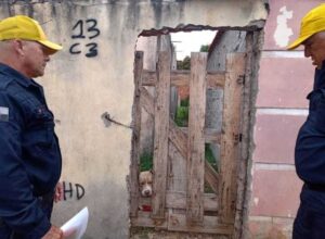 Leia mais sobre o artigo Prefeitura de Cabo Frio lança canal para denúncias de maus-tratos a animais