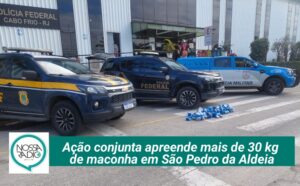 Leia mais sobre o artigo Ação conjunta apreende mais de 30 kg  de maconha em São Pedro da Aldeia