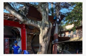 Leia mais sobre o artigo Famosa Rua das Pedras sendo repaginada em Búzios