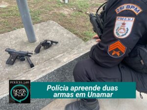 Leia mais sobre o artigo Polícia apreende duas  armas em Unamar
