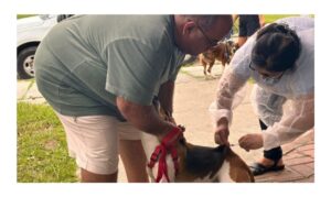 Leia mais sobre o artigo Quase 300 animais são vacinados em repescagem da Campanha Antirrábica em Cabo Frio