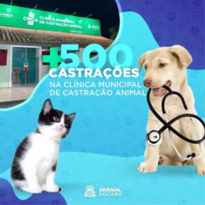 Leia mais sobre o artigo Clínica Municipal de Castração Animal já realizou mais de 500 cirurgias em Arraial do Cabo