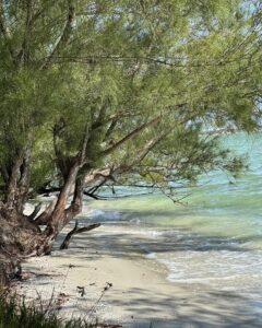 Leia mais sobre o artigo Lagoa do Caiçara, em Arraial do Cabo, foi indicada para avaliação internacional da Bandeira Azul