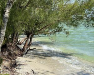 Leia mais sobre o artigo Praia lagunar de Arraial fica próxima de receber a Bandeira Azul para temporada 2024/2025