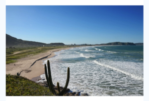 Leia mais sobre o artigo Búzios conquista aprovação de três praias no Júri Nacional do Programa Bandeira Azul para temporada 2024/2025