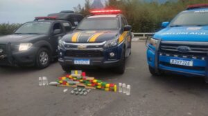Leia mais sobre o artigo Homem é preso com entorpecentes e explosivos na BR-116