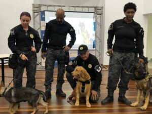 Leia mais sobre o artigo Arraial do Cabo vai iniciar o projeto de cinoterapia com cadela da Guarda Municipal