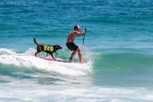 Leia mais sobre o artigo 14 ANOS DO BONO, CÃO PENTACAMPEÃO MUNDIAL DE SURF DOG