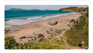 Leia mais sobre o artigo Ambientalistas denunciam tentativa de manobra para excluir Praia Brava do PECS