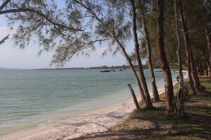 Leia mais sobre o artigo Praia lagunar do Caiçara, em Arraial do Cabo, receberá a Bandeira Azul na temporada 2024/2025