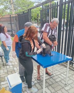 Leia mais sobre o artigo Vacinação antirrábica continua em Arraial do Cabo