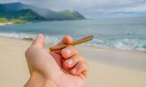 Leia mais sobre o artigo Vereador de Cabo Frio propõe proibir o que já é proibido: fumar maconha nas praias