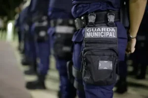 Leia mais sobre o artigo STF decide que guarda municipal pode fazer policiamento ostensivo