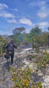 Leia mais sobre o artigo Homem é conduzido para delegacia após causar incêndio em vegetação de restinga no bairro Caiçara, em Arraial do Cabo