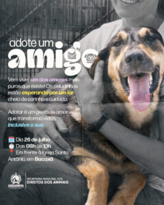 Leia mais sobre o artigo Prefeitura realiza mais uma Campanha de Adoção Responsável de Animais em Bacaxá