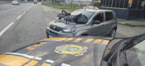 Leia mais sobre o artigo Em ação conjunta, PRF e PF prende motorista com cerca de 40 quilos de maconha na BR-101