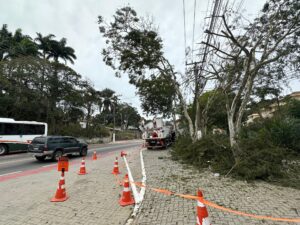 Leia mais sobre o artigo Prefeitura de Búzios e Enel iniciam mutirão de podas com mais de 1.500 ações previstas na cidade