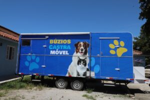 Leia mais sobre o artigo Mais de 200 animais já foram castrados em Búzios; próximo mutirão acontece em Cem Braças