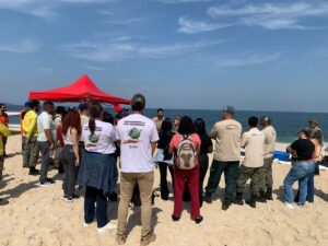 Leia mais sobre o artigo Búzios participa de capacitação sobre avaliação de limpeza da linha de costa em cenários de surgimento de óleo em praias, promovida pelo INEA
