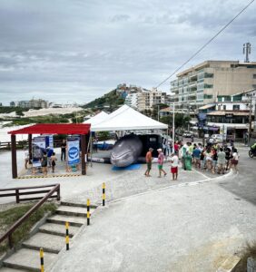 Leia mais sobre o artigo Baleia inflável do Instituto Baleia Jubarte retorna à Praia Grande, em Arraial do Cabo, para a Mar-à-Tona Ambiental