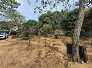 Leia mais sobre o artigo Prefeitura de Búzios realiza ação de recuperação ambiental na Praia de João Fernandes