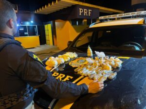 Leia mais sobre o artigo PRF apreende drogas e granada artesanal em ônibus interestadual na BR-101