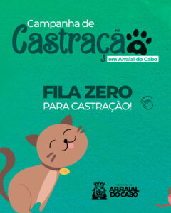 Leia mais sobre o artigo Com fila zerada, Arraial do Cabo abre novas vagas para castração gratuita de gatos