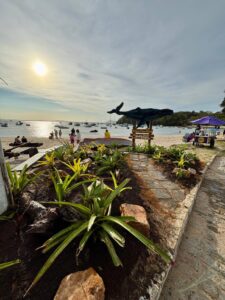 Leia mais sobre o artigo Prefeitura de Búzios reurbaniza entrada da Praia dos Ossos e transforma local em novo ponto turístico