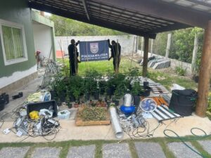 Leia mais sobre o artigo Estufa com 76 pés de maconha é descoberta pela PM em Cabo Frio