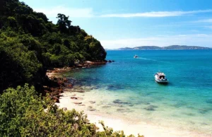 Leia mais sobre o artigo MPF aciona Justiça para retirada de cabras e recuperação da Ilha Feia, ponto famoso de mergulho em Búzios