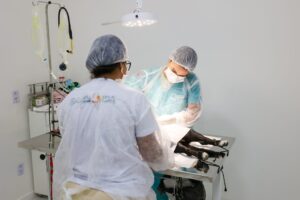 Leia mais sobre o artigo Prefeitura de Saquarema realiza Mutirão de Castração para cães e gatos no dia 06 de dezembro