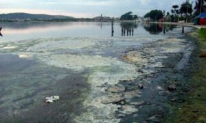Leia mais sobre o artigo Matéria paga pela Prolagos na Globo não mostra a realidade da Lagoa de Araruama e não convence a população