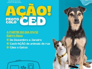 Leia mais sobre o artigo Castramóvel inicia protocolo CED na Rasa para fortalecer o controle populacional de animais de rua em Búzios