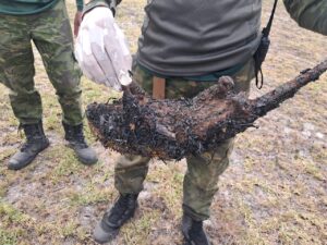 Leia mais sobre o artigo Equipes de Arraial do Cabo atuam no combate a incêndio na Pernambuca