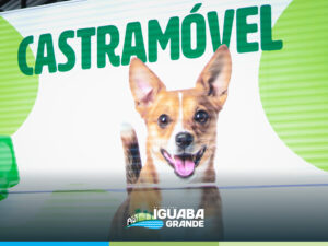 Leia mais sobre o artigo Clínica Animal amplia acesso à castração gratuita e reforça importância do controle populacional em cães e gatos