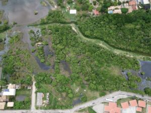 Leia mais sobre o artigo Prefeitura de Búzios intensifica fiscalização na APA Águas de Tucuns após decisão judicial