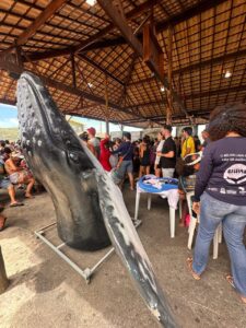 Leia mais sobre o artigo Funtec Ambiental abre inscrições para Programa de Voluntariado em projetos de pesquisa e educação ambiental