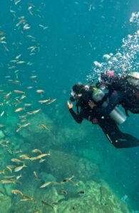 Leia mais sobre o artigo Arraial Diving Festival promove vocação cabista para mergulho