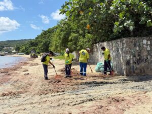 Leia mais sobre o artigo Prefeitura de Búzios realiza mutirão de limpeza de algas na Praia de Manguinhos