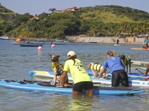 Leia mais sobre o artigo Búzios abre calendário estadual de SUP com etapa na Praia da Ferradura