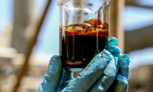 Leia mais sobre o artigo Fachin marca para 6 de maio o julgamento sobre royalties de petróleo do Estado do Rio