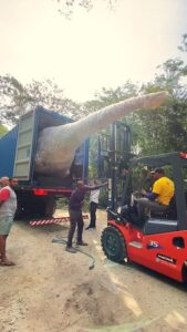 Leia mais sobre o artigo Dinossauros começam a chegar à futura Ilha dos Dinossauros, em Iguaba Grande