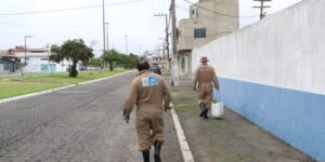 Leia mais sobre o artigo Prefeitura de Cabo Frio intensifica ação de controle de roedores no Parque Burle