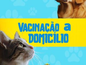 Leia mais sobre o artigo Prefeitura de Búzios oferece vacinação antirrábica domiciliar para tutores com mais de cinco animais