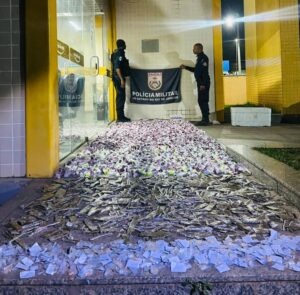 Leia mais sobre o artigo PM apreende mais de 6 mil porções de drogas em São Pedro da Aldeia