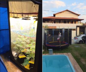 Leia mais sobre o artigo Estufa de maconha divide espaço de quintal com piscina e pula pula infantil em casa alvo de operação no RJ