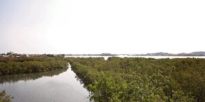 Leia mais sobre o artigo Projeto da Prefeitura de Cabo Frio é reconhecido pela ONU como Ação Oficial da Década dos Oceanos