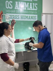 Leia mais sobre o artigo Arraial do Cabo realiza mais de 40 castrações em um único dia