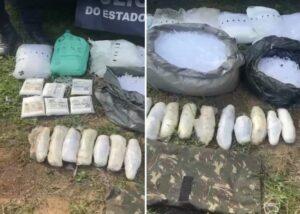 Leia mais sobre o artigo Polícia apreende mais de 11 kg de maconha escondidos em área de mata em Cabo Frio