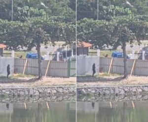 Leia mais sobre o artigo Adolescente invade escola durante fuga policial em Arraial do Cabo